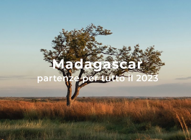 ZANTE - Madagascar