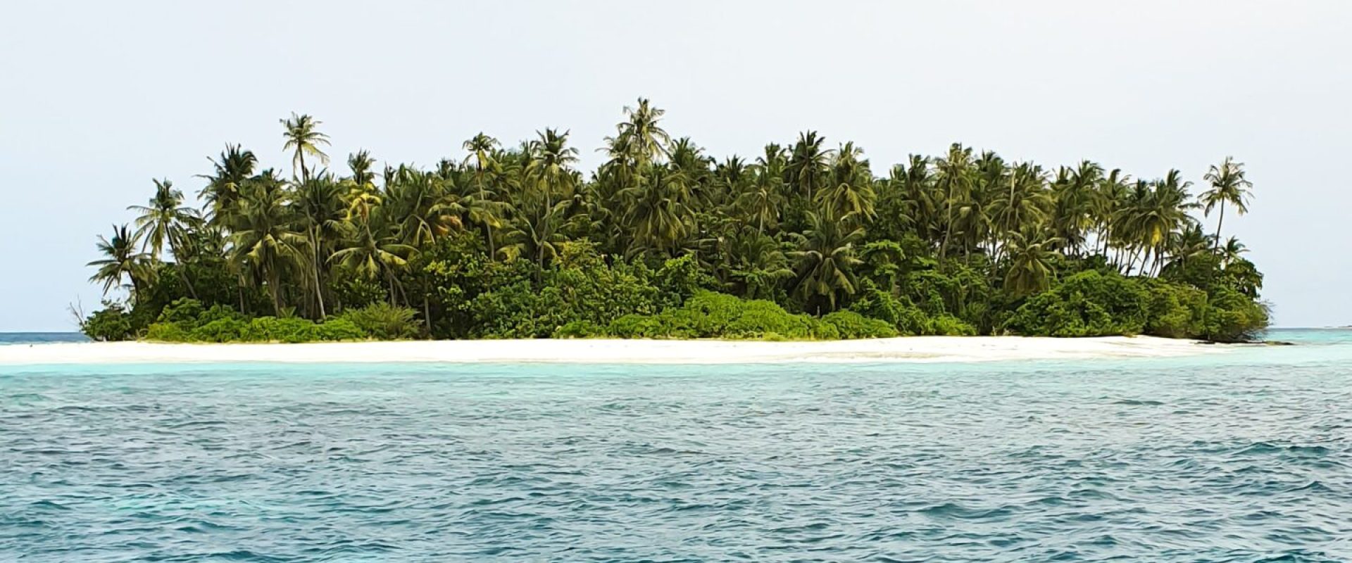 muhammad-saushan-hZ6tMbkAIMk-unsplash muhammad-saushan-hZ6tMbkAIMk-unsplash